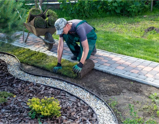creation de jardins à Beynes près de Plaisir dans les Yvelines 78