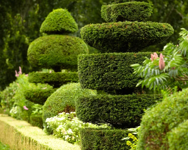 entretien d'espaces verts à Beynes près de Plaisir dans les Yvelines 78