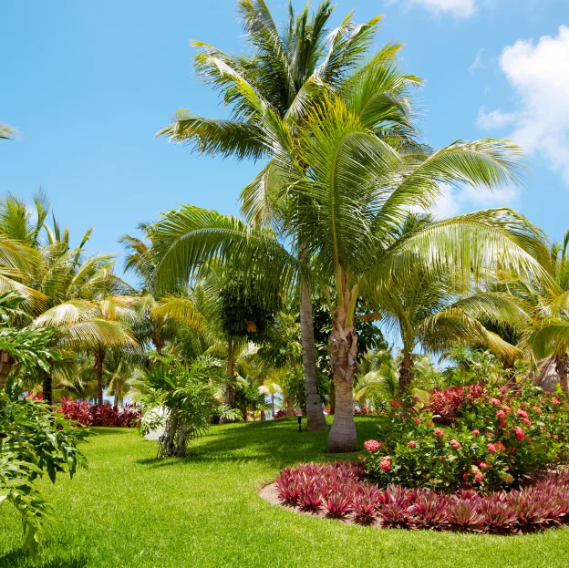 jardins mediterraneen à Beynes près de Plaisir dans les Yevlines 78