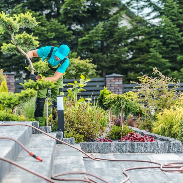 jardin sur mesure à Beynes près de Plaisir dans les Yevlines 78