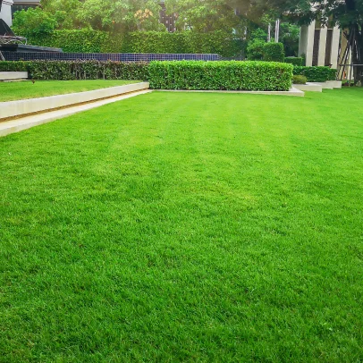 engazonnement à Beynes près de Plaisir dans les Yevlines 78