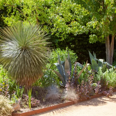 creation massif à Beynes près de Plaisir dans les Yevlines 78